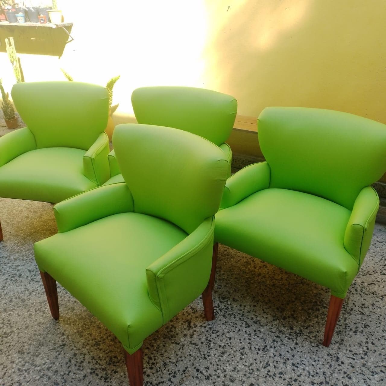 Silla con apoyabrazos en Talampaya - imagen 1